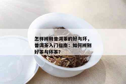 怎样辨别普洱茶的好与坏，普洱茶入门指南：如何辨别好茶与坏茶？