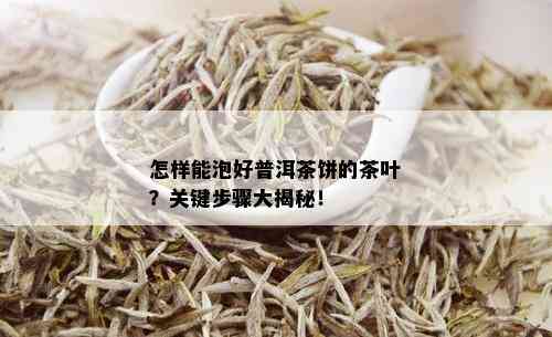 怎样能泡好普洱茶饼的茶叶？关键步骤大揭秘！