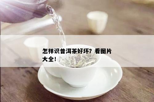 怎样识普洱茶好坏？看图片大全！