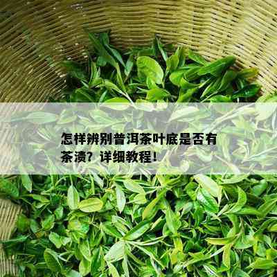 怎样辨别普洱茶叶底是否有茶渍？详细教程！