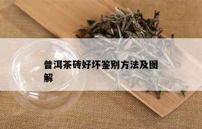 普洱茶砖好坏鉴别方法及图解