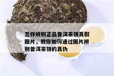 怎样辨别正品普洱茶饼真假图片，教你如何通过图片辨别普洱茶饼的真伪