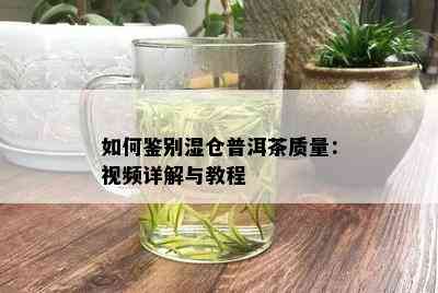 如何鉴别湿仓普洱茶质量：视频详解与教程