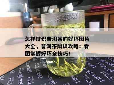 怎样辩识普洱茶的好坏图片大全，普洱茶辨识攻略：看图掌握好坏全技巧！