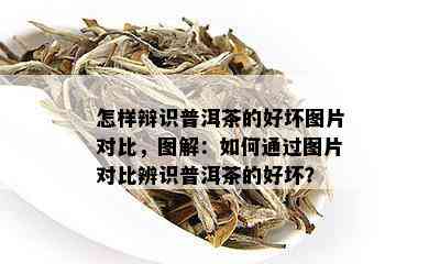 怎样辩识普洱茶的好坏图片对比，图解：如何通过图片对比辨识普洱茶的好坏？