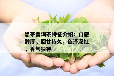 思茅普洱茶特征介绍：口感醇厚，回甘持久，色泽深红，香气独特