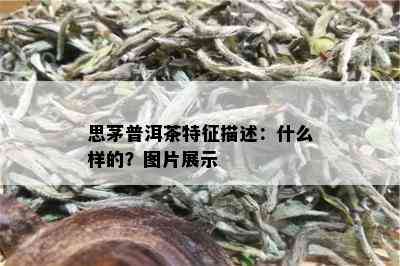 思茅普洱茶特征描述：什么样的？图片展示