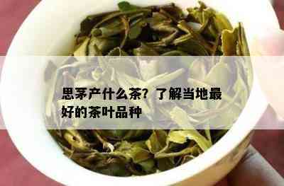 思茅产什么茶？了解当地更好的茶叶品种