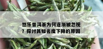 悠乐普洱茶为何逐渐被忽视？探讨其知名度下降的原因