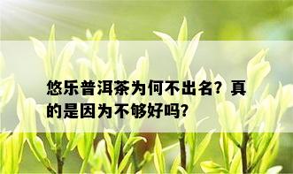 悠乐普洱茶为何不出名？真的是因为不够好吗？