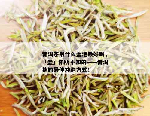 普洱茶用什么壶泡更好喝，「壶」你所不知的——普洱茶的更佳冲泡方式！