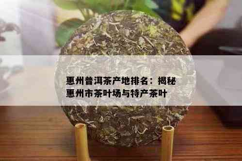 惠州普洱茶产地排名：揭秘惠州市茶叶场与特产茶叶