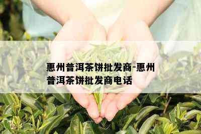 惠州普洱茶饼批发商-惠州普洱茶饼批发商电话