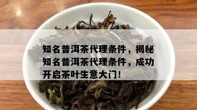 知名普洱茶代理条件，揭秘知名普洱茶代理条件，成功开启茶叶生意大门！