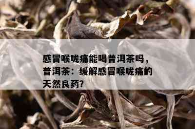 感冒喉咙痛能喝普洱茶吗，普洱茶：缓解感冒喉咙痛的天然良药？