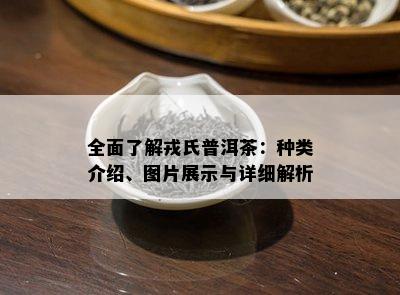 全面了解戎氏普洱茶：种类介绍、图片展示与详细解析