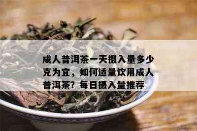 成人普洱茶一天摄入量多少克为宜，如何适量饮用成人普洱茶？每日摄入量推荐