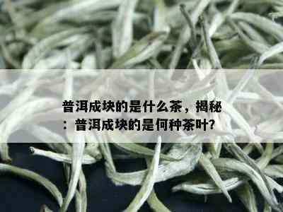 普洱成块的是什么茶，揭秘：普洱成块的是何种茶叶？