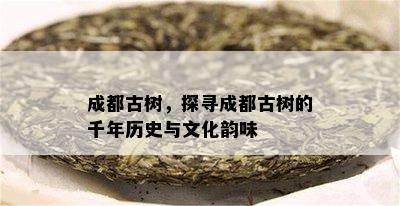 成都古树，探寻成都古树的千年历史与文化韵味