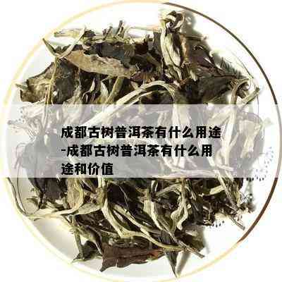 成都古树普洱茶有什么用途-成都古树普洱茶有什么用途和价值