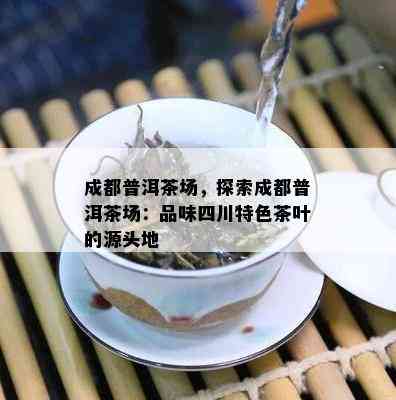 成都普洱茶场，探索成都普洱茶场：品味四川特色茶叶的源头地