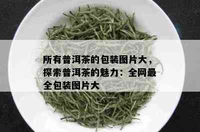 所有普洱茶的包装图片大，探索普洱茶的魅力：全网最全包装图片大