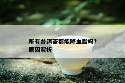 所有普洱茶都能降血脂吗？原因解析