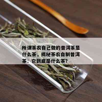 所谓茶农自己做的普洱茶是什么茶，揭秘茶农自制普洱茶：它到底是什么茶？