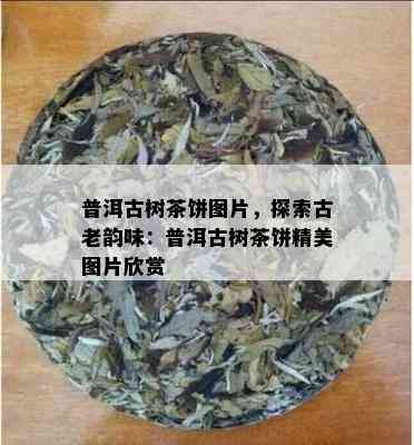 普洱古树茶饼图片，探索古老韵味：普洱古树茶饼精美图片欣赏