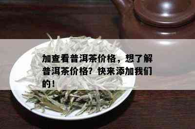 加查看普洱茶价格，想了解普洱茶价格？快来添加我们的！