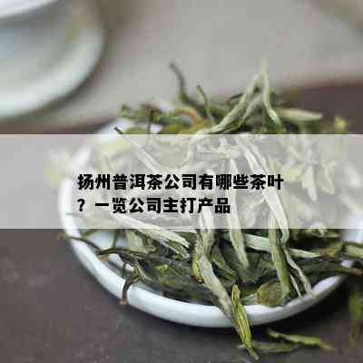 扬州普洱茶公司有哪些茶叶？一览公司主打产品