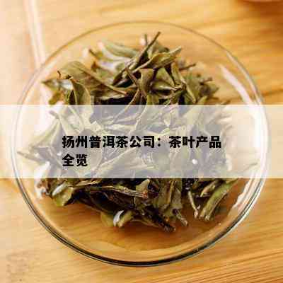 扬州普洱茶公司：茶叶产品全览