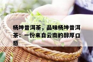 杨坤普洱茶，品味杨坤普洱茶：一份来自云南的醇厚口感