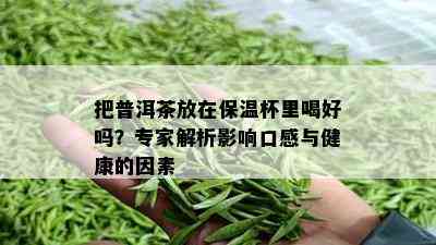 把普洱茶放在保温杯里喝好吗？专家解析影响口感与健康的因素