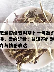 把爱留给普洱茶下一句怎么接，爱的延续：普洱茶的魅力与情感表达