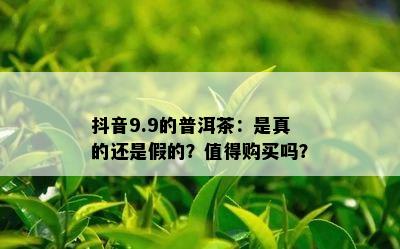 抖音9.9的普洱茶：是真的还是假的？值得购买吗？