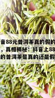 抖音88元普洱茶真的假的啊，真相揭秘：抖音上88元的普洱茶是真的还是假的？