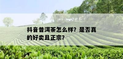 抖音普洱茶怎么样？是否真的好卖且正宗？