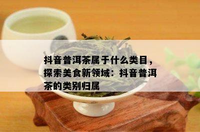 抖音普洱茶属于什么类目，探索美食新领域：抖音普洱茶的类别归属