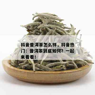 抖音普洱茶怎么样，抖音热门：普洱茶到底如何？一起来看看！