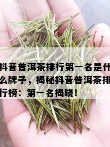 抖音普洱茶排行之一名是什么牌子，揭秘抖音普洱茶排行榜：之一名揭晓！