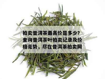 拍卖普洱茶更高价是多少？查询普洱茶叶拍卖记录及价格走势，尽在普洱茶拍卖网！