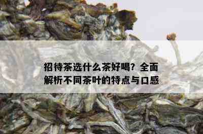 招待茶选什么茶好喝？全面解析不同茶叶的特点与口感