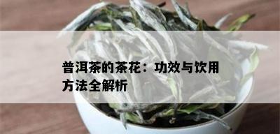 普洱茶的茶花：功效与饮用方法全解析