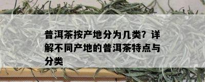 普洱茶按产地分为几类？详解不同产地的普洱茶特点与分类