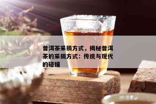 普洱茶采摘方式，揭秘普洱茶的采摘方式：传统与现代的碰撞