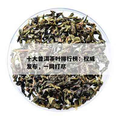 十大普洱茶叶排行榜：权威发布，一网打尽