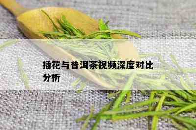 插花与普洱茶视频深度对比分析