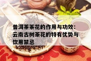 普洱茶茶花的作用与功效：云南古树茶花的特有优势与饮用禁忌