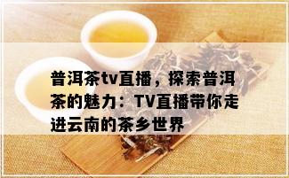 普洱茶tv直播，探索普洱茶的魅力：TV直播带你走进云南的茶乡世界